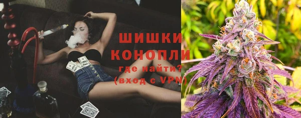 амф Дмитров