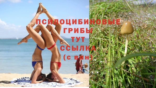 COCAINE Дмитриев