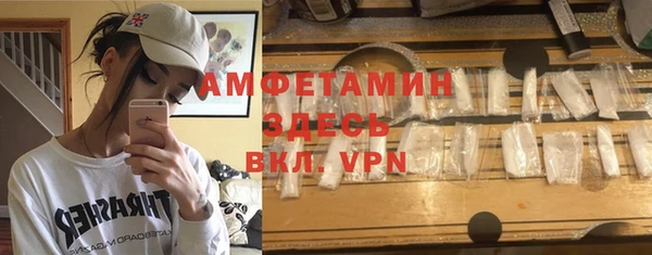 амф Дмитров