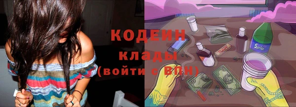 амф Дмитров